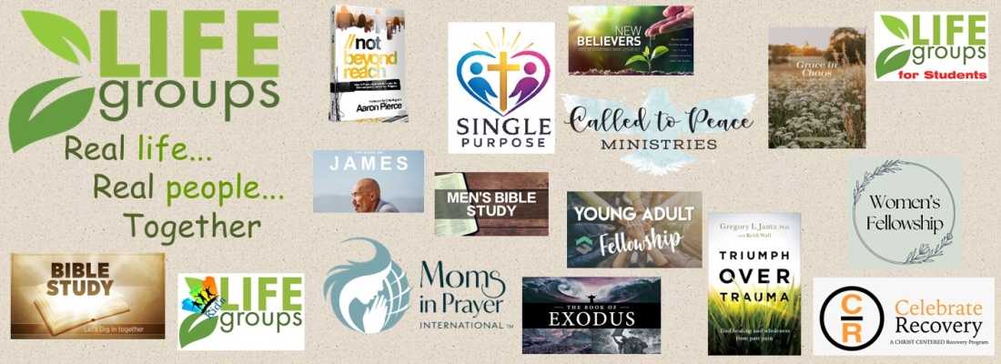 Life Groups